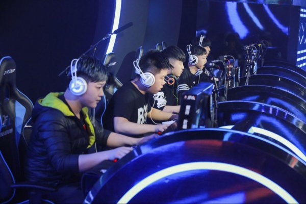 的完美展示 的完美展示