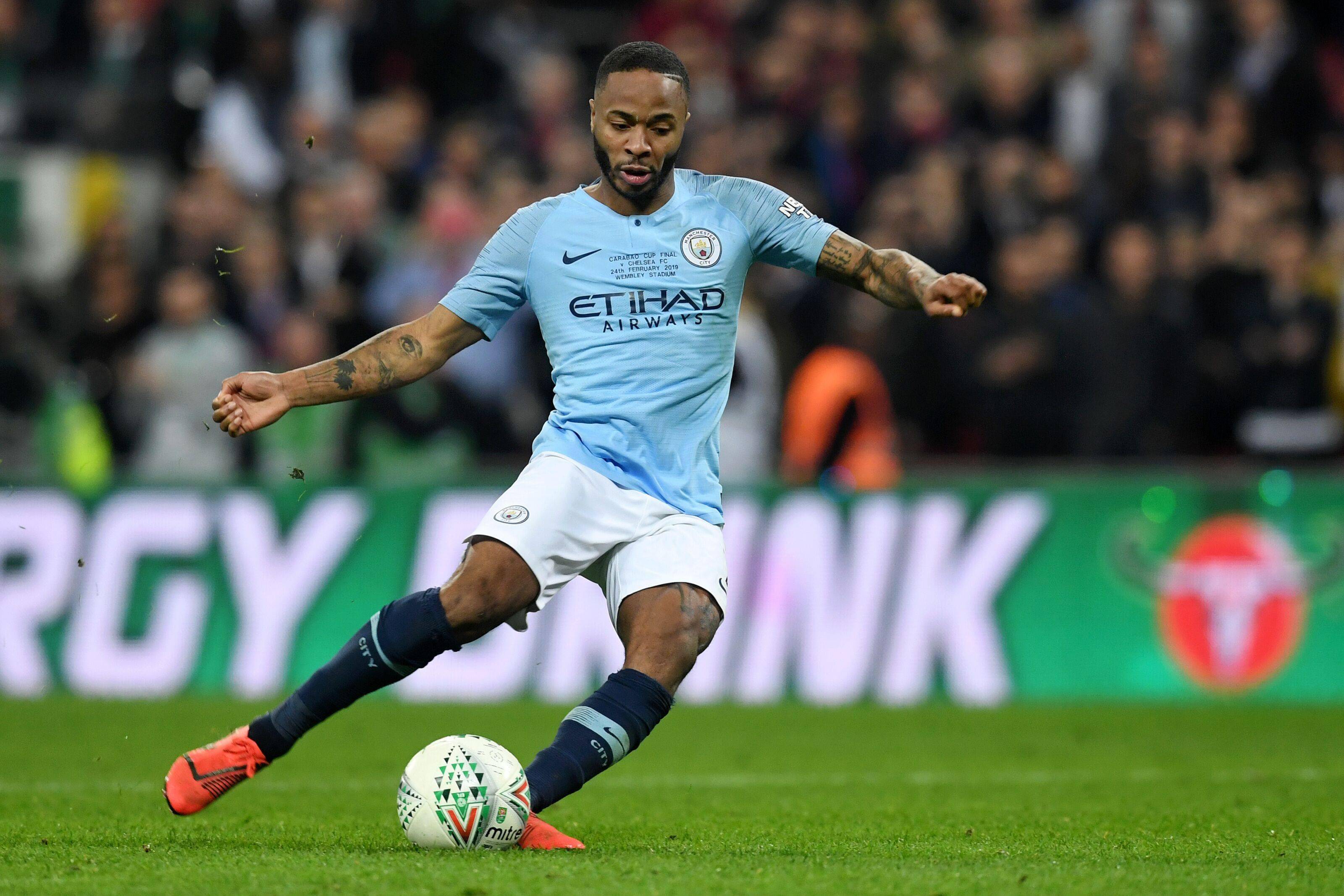 和观赏性的 和观赏性的